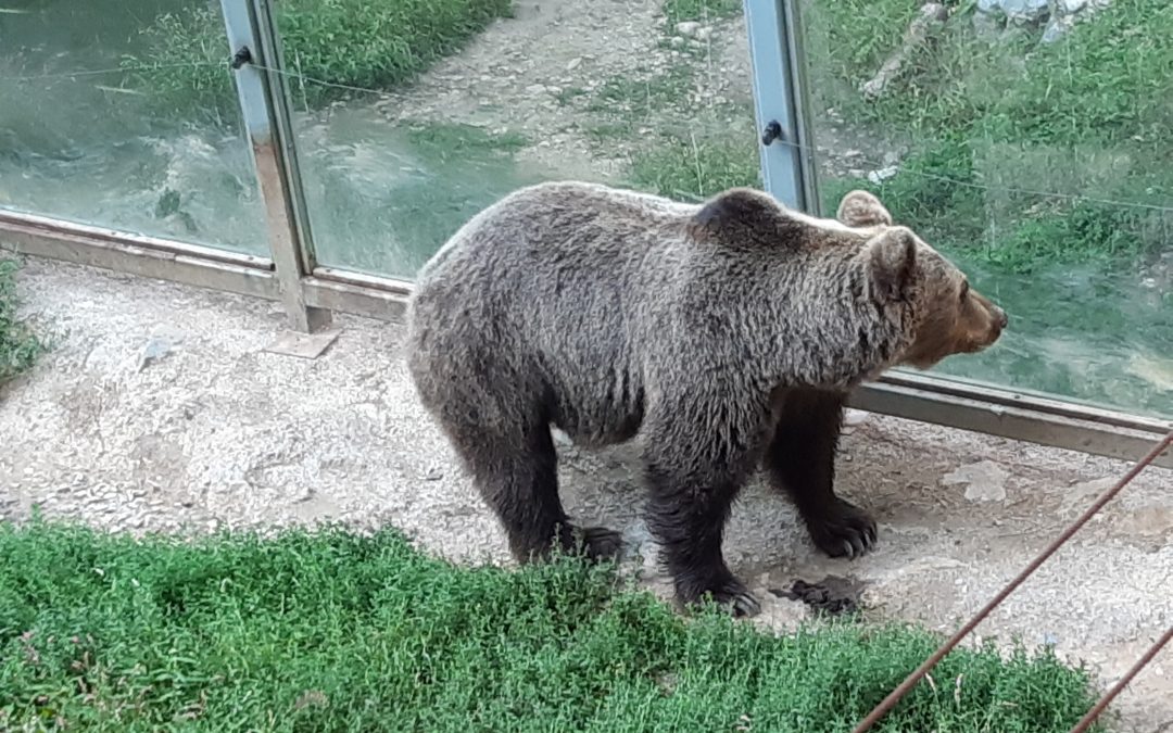 OBISKALI SMO ZOO LJUBLJANA